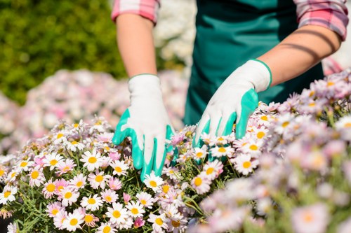 Supplier compliance review and ethical sourcing checks
