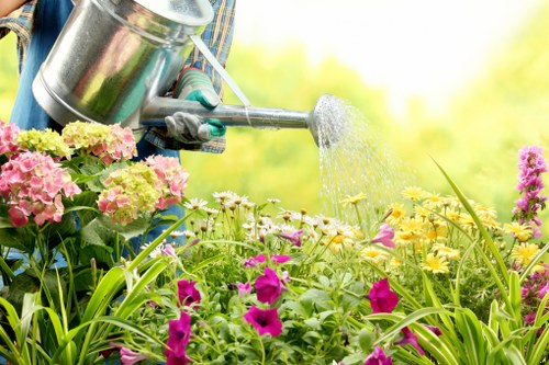 Tree care specialist supporting healthy and attractive Teddington landscapes