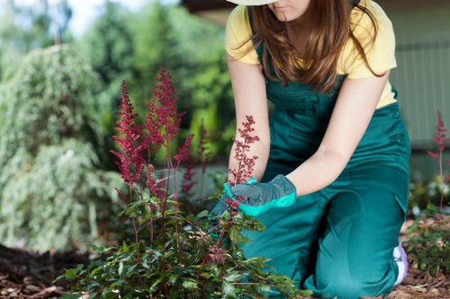 Customer selecting a secure payment method for tree surgery