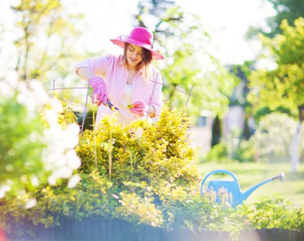 Professional close to a resolved tree surgery complaint