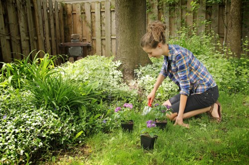 Local tree care team providing pruning services in Teddington