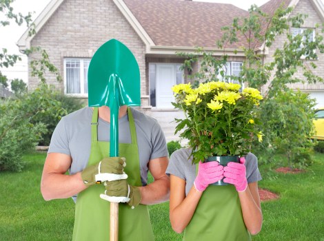 Final legal terms section for tree surgery services